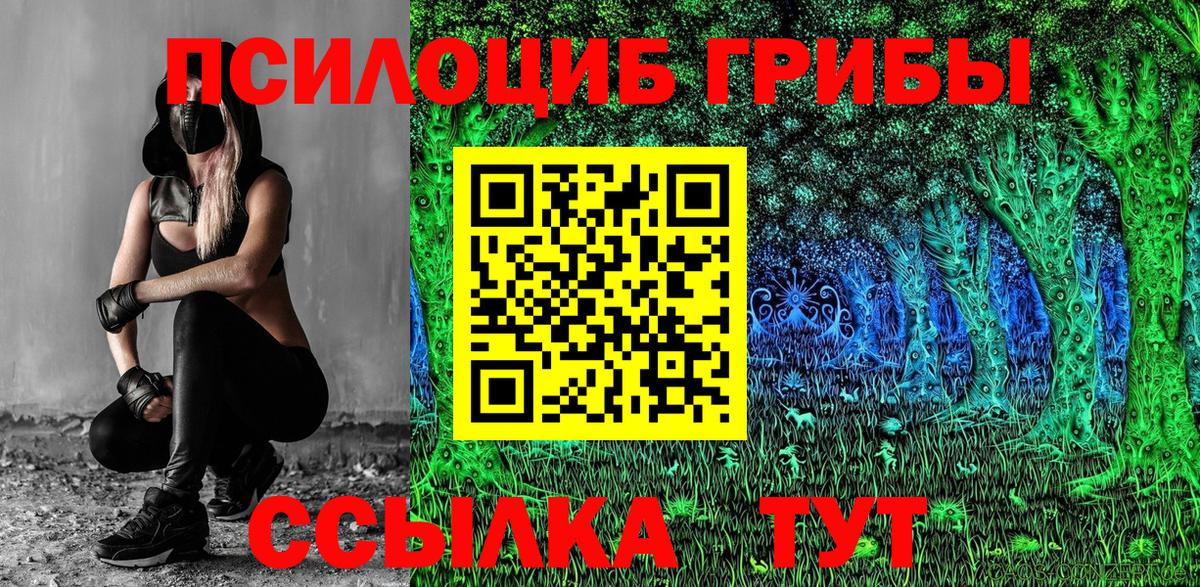 Галлюциногенные грибы прущие грибы  Псилоцибиновые грибы Psilocybe  Вход с VPN  Каспийск 